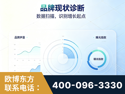 富锦-品牌现状诊断